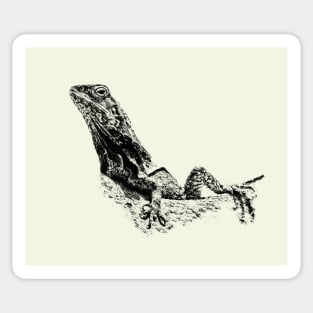 Frilled-neck lizard Sticker